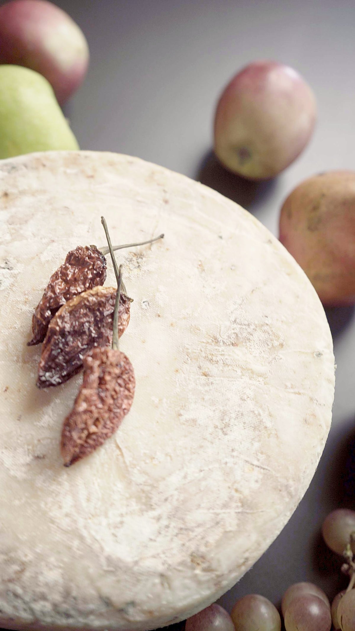 Bhoot Jolokia Cheddar